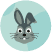 Hase