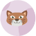 Katze