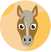 Pferd