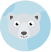 Polarbaer