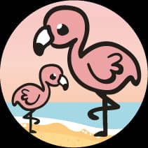 Flamingo