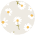 Daisy AOP