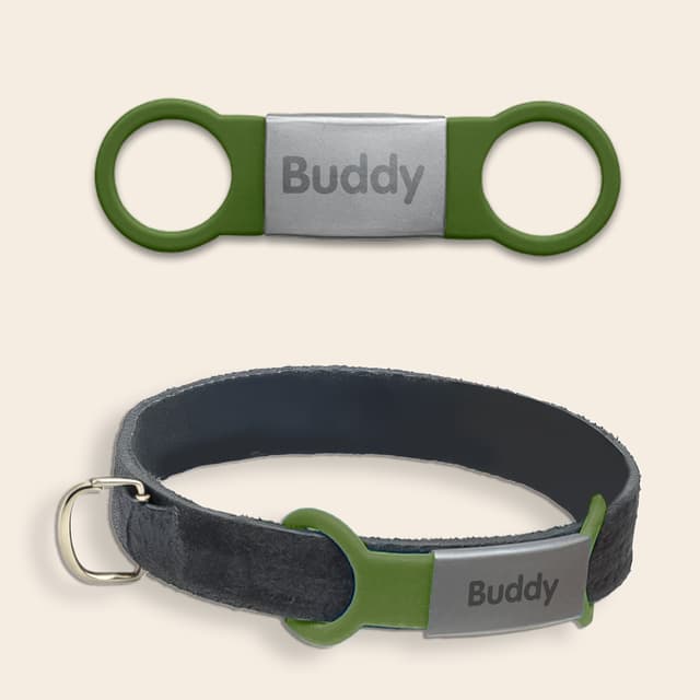 Erkennungsmarke für Hunde und Katzen