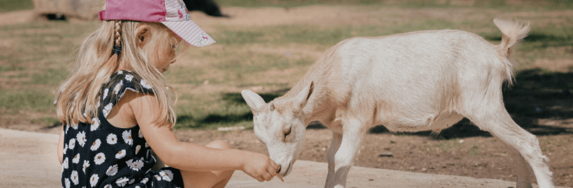 Tierisch gut: So machst du den Zoobesuch mit Kindern zum perfekten Tag