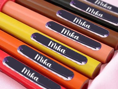 Ergobag Mini Aufkleber