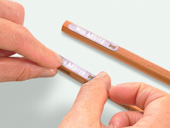 Mini Aufkleber Affenzahn