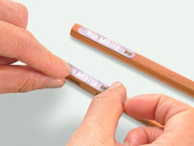 Mini Aufkleber Affenzahn