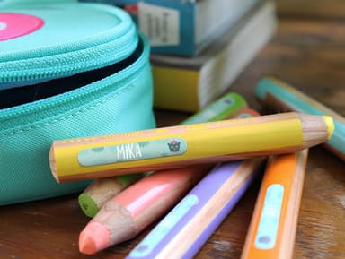 Mini Aufkleber Affenzahn