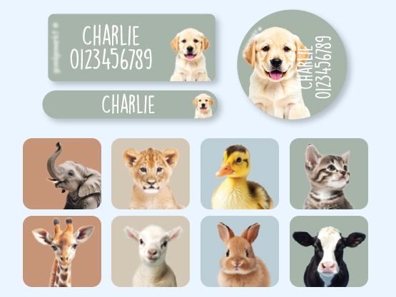 Namensaufkleber Vorteilspaket - Real World